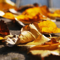 成本优化显著的ddos服务器攻击手段