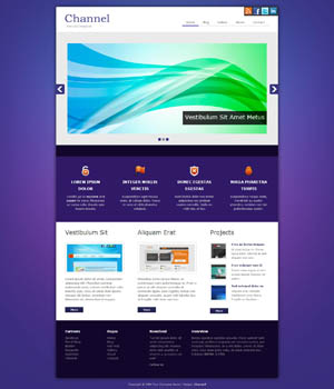 网站攻击软件工具