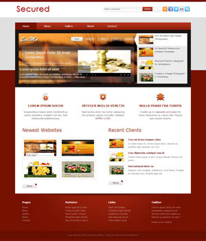 网站攻击软件工具